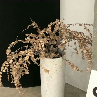 兽设配色实用搭配指南Furry群